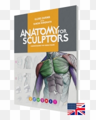Anatomy4sculptorscom Anatomy For Sculptors U2013 Anatomy For - Anatomy For Sculpture Emoji,Split Face Human Emotions