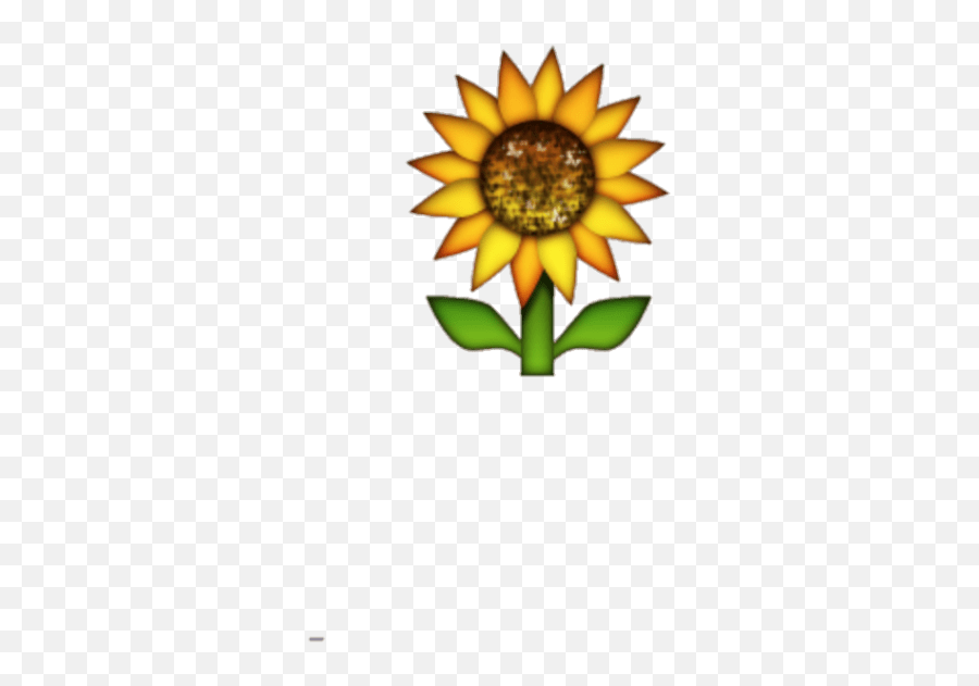 Download Hd Transparent Background - Sunflower Ios Emoji Png,Sunflower Emoji