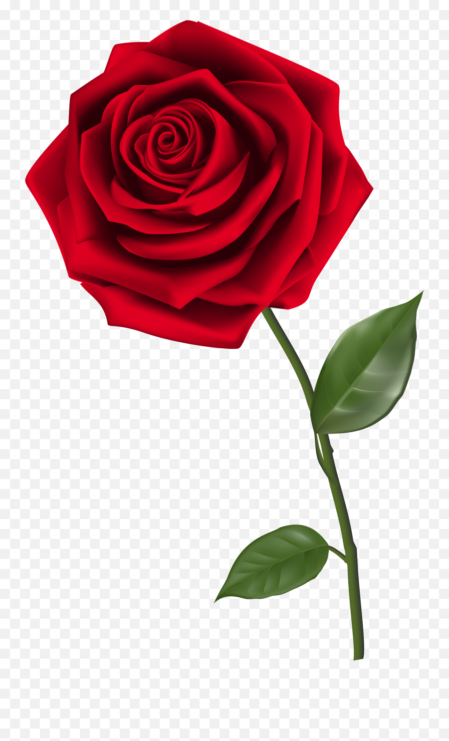 Free Single Flower Png Download Free - Transparent Rose Png Emoji,Single Red Rose Emoticon