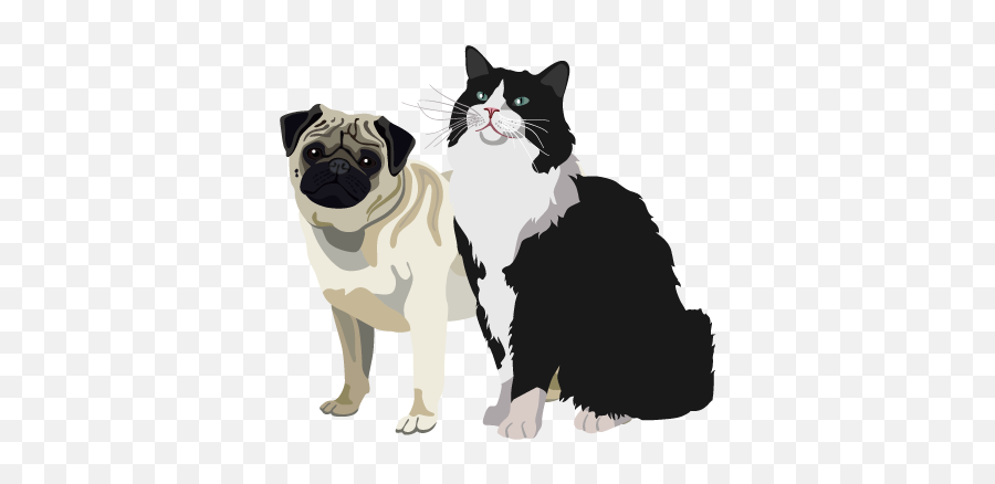 Home Whitby Animal Hospital - Cat And Dog Standing Emoji,Petfood Emoji