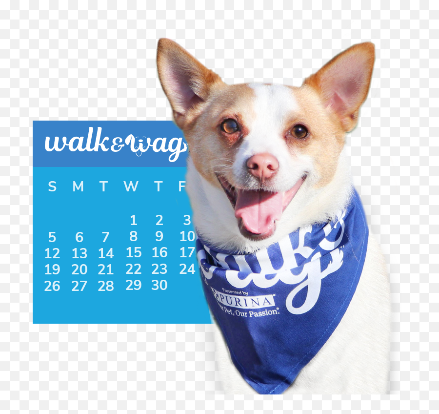 2021 Walk Wag Emoji,Tail That Wags With Emotion