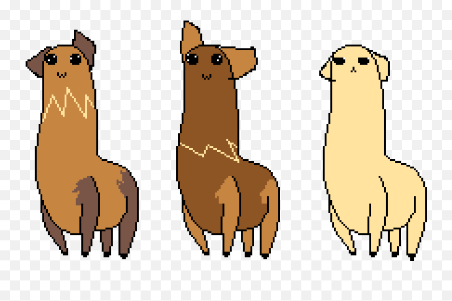 Llama Dog Breed Alpaca Gif - Cough Banner Png Download Emoji,Alpaca Emoji