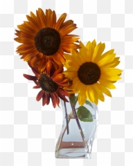 Vipshoutout Sticker By - Vase Emoji,Boquet Emoji