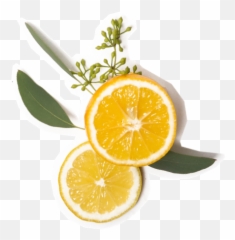 The History Of The Poop Emoji U2013 Poopourri - Superfood,Lemon Emoji