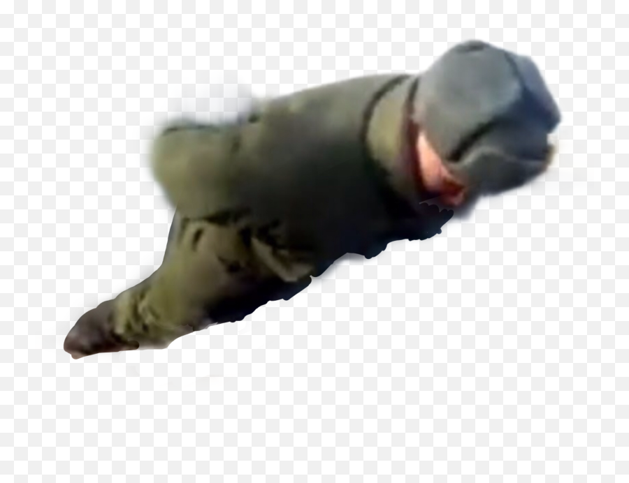 Trending Push - American Soldier Emoji,Emoticon Of A Panda Doing Pushups