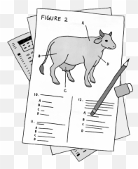 Cow Science Exams Encroach - Sketch Emoji,Good Charlotte Emotion;ess ???????