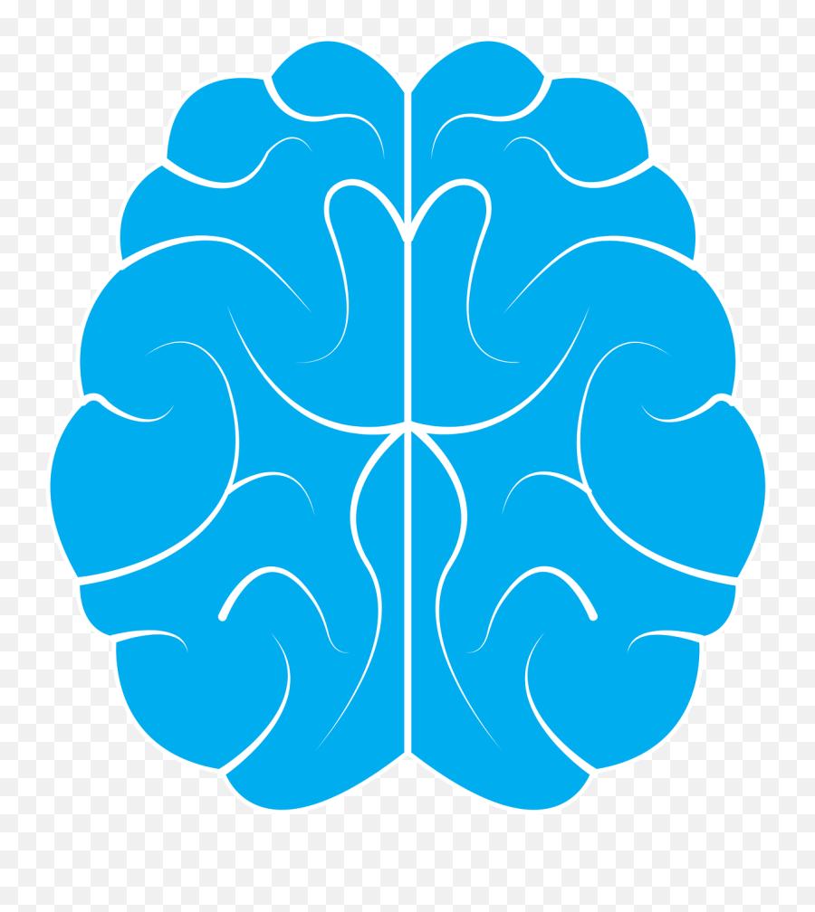 The Human Mind The Most Of It - Vector Brain Icon Png Emoji,Never Let Your Emotions Overpower Your Intelligence