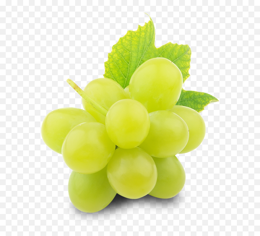 Green Grapes Png Free Download - Green Grape Png Emoji,White Grape Emoji