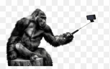 Gorilla Png Image - Gorilla Png Emoji,Where Is The Gorilla Emoji