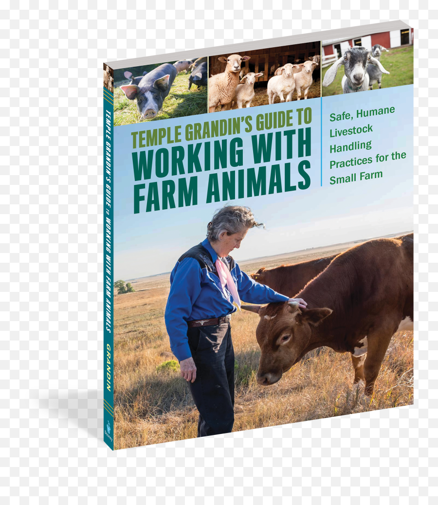 Temple Grandinu0027s Guide To Working With Farm Animals - Temple Grandin Work Animal Emoji,Adele's Sweetest Emotion