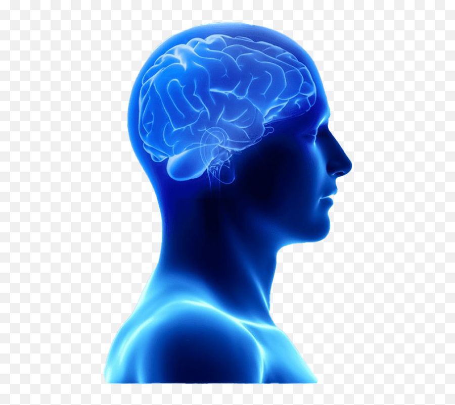 Blue Brain Transparent Image Png Arts Emoji,Brain In Emoji