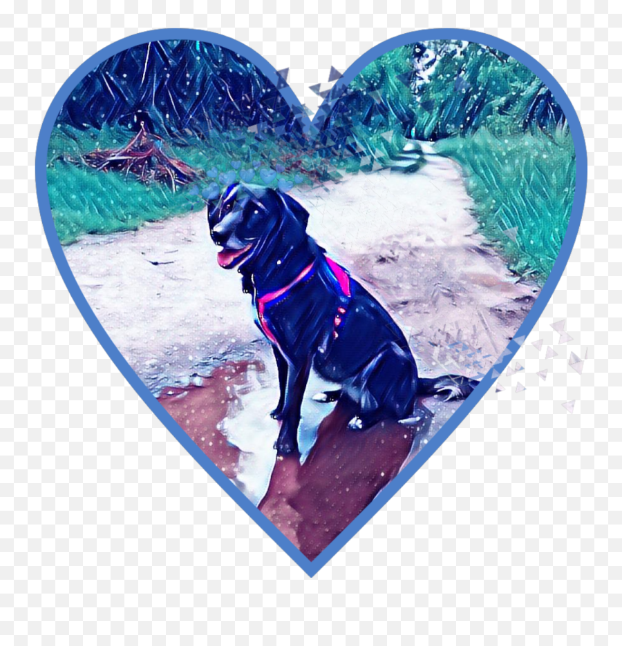 Love Best You Gypsy Dog Sticker - Martingale Emoji,Gypsy Emoji