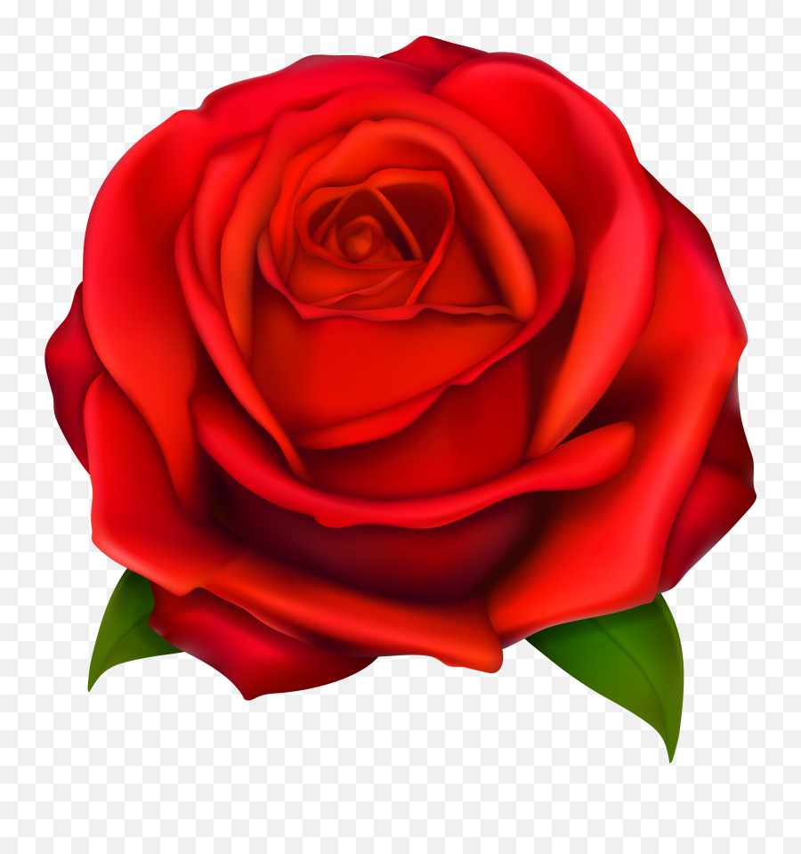 Red Rose Smiley Meaning - Transparent Red Rose Clipart Png Emoji,Boquet Emoji