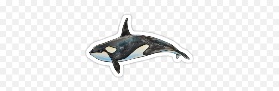 Pin En F R Š H - Stickers De Orcas Png Emoji,Killer Whale Emoji