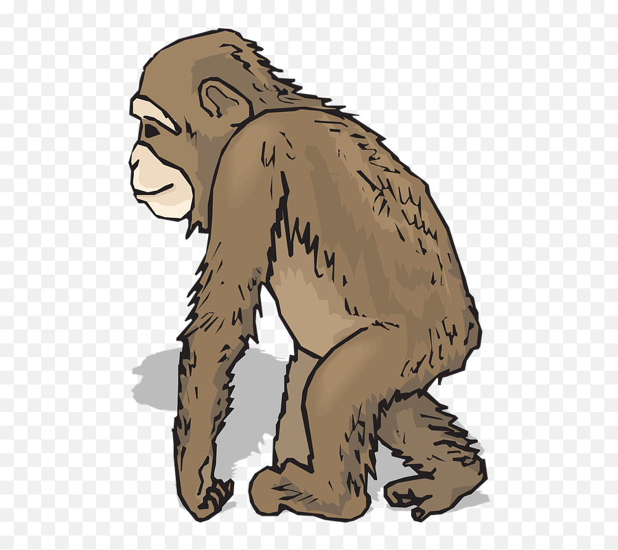 The Human The Chimp And The Computer - Animals With Hair Clipart Emoji,Chimp Emotions