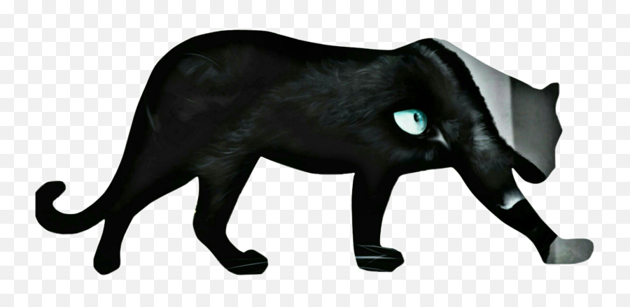 Pantera Negra - Animal Figure Emoji,Pantera Emoji