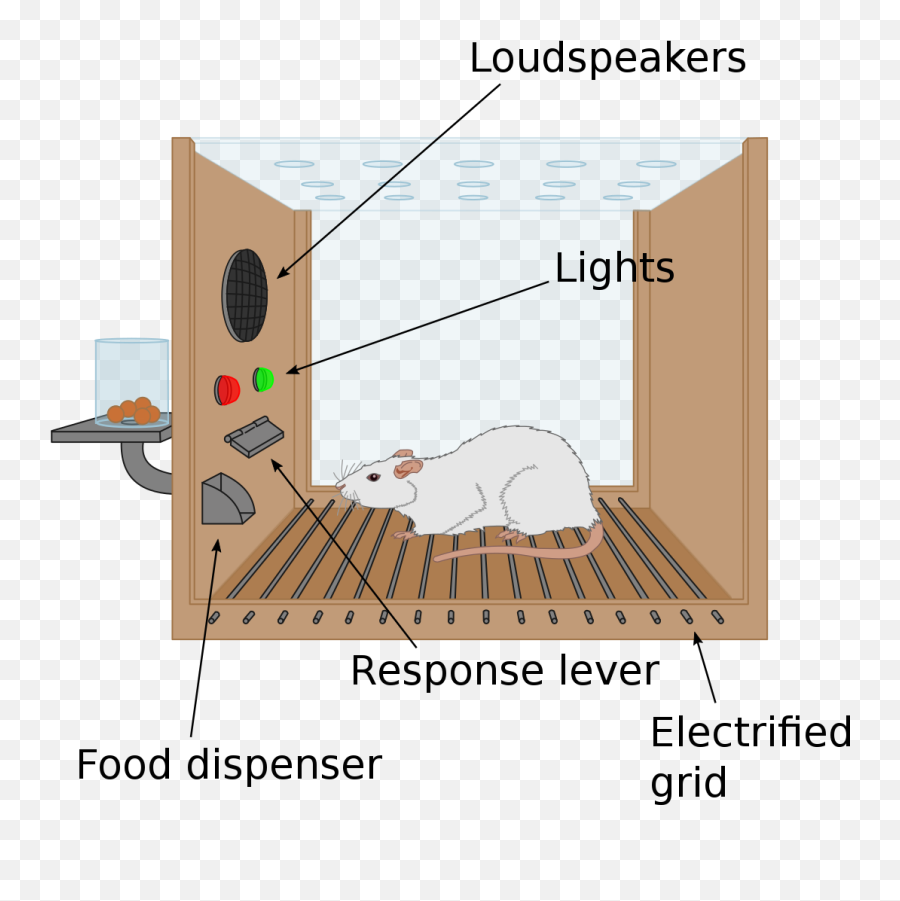 Operant Conditioning Chamber - Wikipedia Operant Conditioning Emoji,Schacter 2 Factor Theory Of Emotion