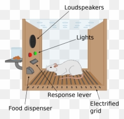 Operant Conditioning Chamber - Wikipedia Operant Conditioning Emoji,Schacter 2 Factor Theory Of Emotion