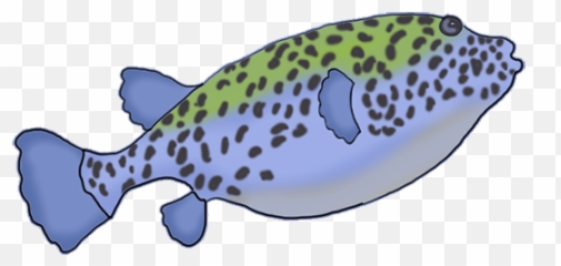 Puffer Fish Clip Art Transparent Png - Spotted Fish Drawing Emoji,Pufferfish Emoji