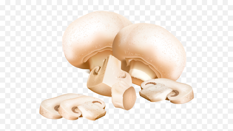Mushrooms Png Transparent Image - Freepngdesigncom Common Mushroom Emoji,Mushrooms Emoji