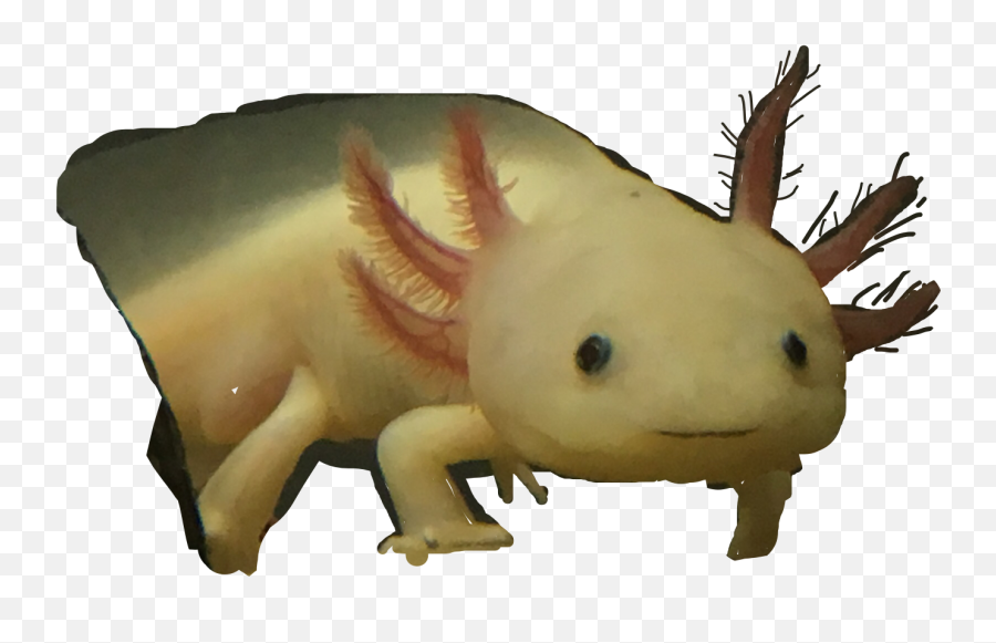 Axolotl Sticker - Animal Figure Emoji,Axolotl Emoji