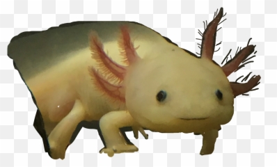 Axolotl Sticker - Animal Figure Emoji,Axolotl Emoji