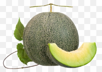The Most Edited - Diet Food Emoji,Cantelope Emoticon
