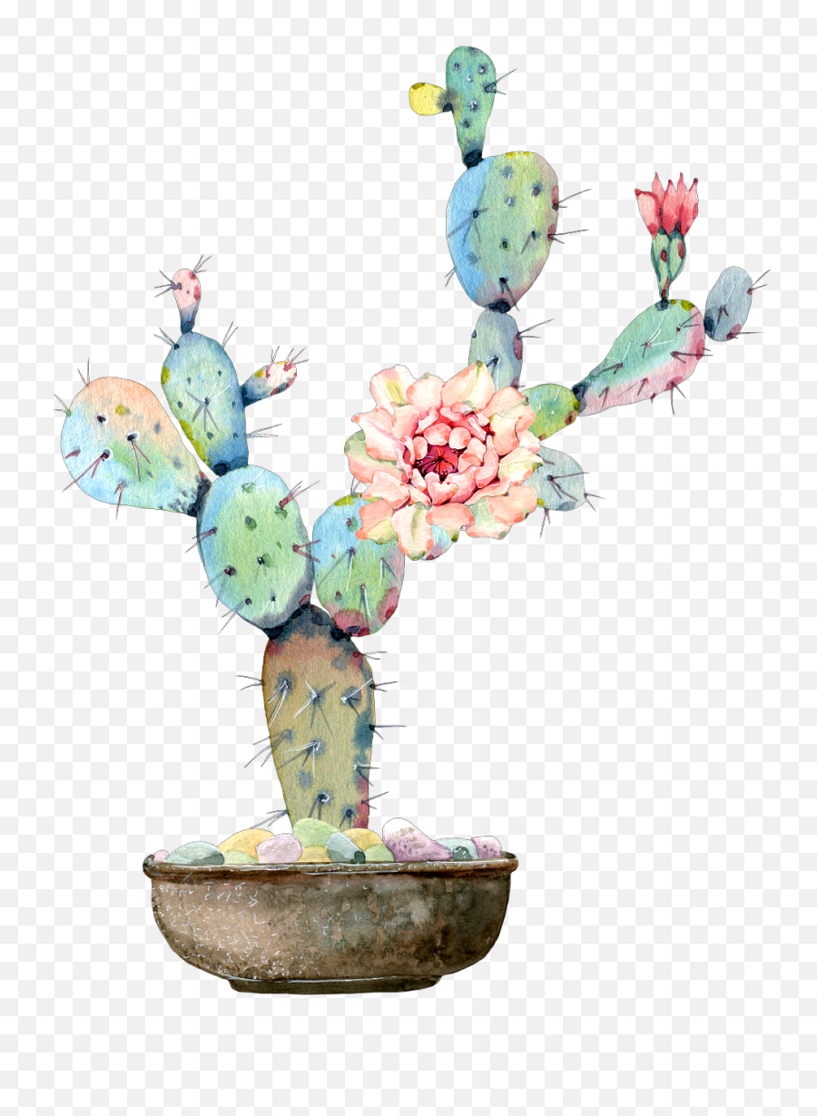 Cactus Flower Watercolor Sticker Emoji,Cactus Art Emoji