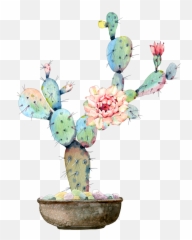 Cactus Flower Watercolor Sticker Emoji,Cactus Art Emoji
