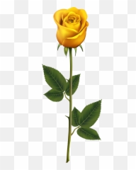 Yellow Rose Clipart - Clipart Best Gulab Ka Phool Background Emoji,Rose Emoji Jpg