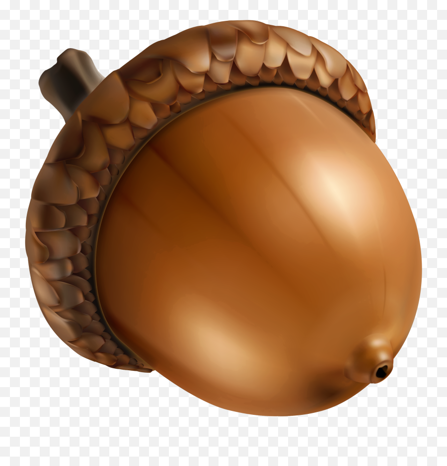 The Most Edited Acorn Picsart - Acorn Clipart Png Emoji,Brown Emoticon That Looks Like A Nut