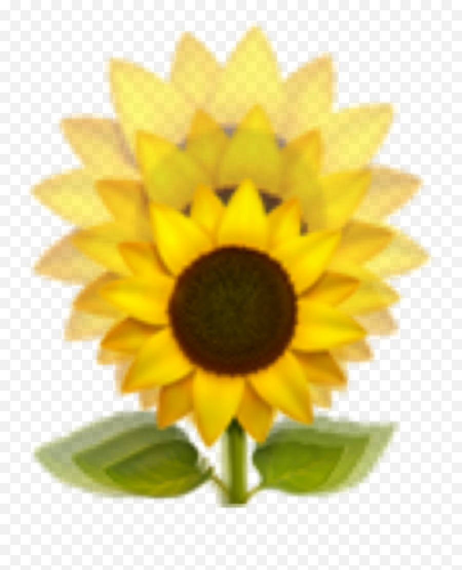 Sunflower Emoji Yellow Sticker - Fresh,Sunflower Emoji