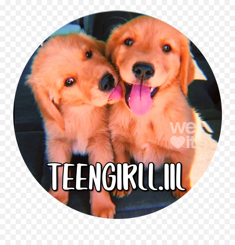 Teengirlliil Linktree - Say Us Emoji,Emoji Combos