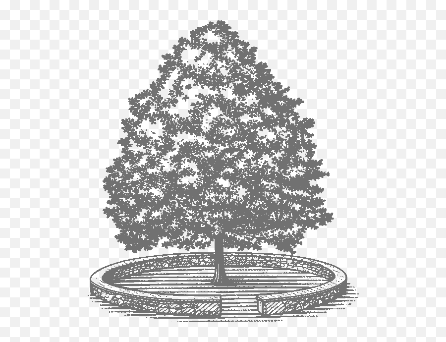 Bruderhof Communities - Center On Conscience U0026 War Emoji,Men's Emotions Om Castity