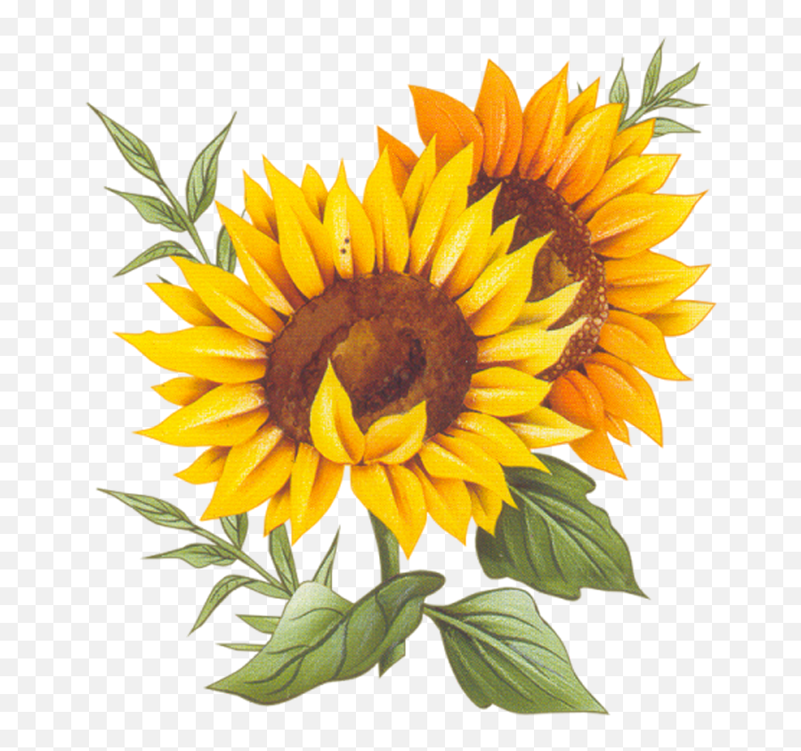 Download Cuisine Montxe9e Sunflower Recipe Two France Vector - Sunflower Vector Png Emoji,Sunflower Emoticon
