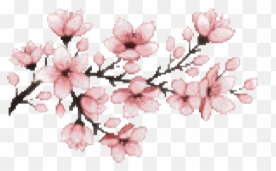Cherry Blossom Sakura Aesthetic Sticker - Cherry Blossom Png Gif Emoji,Cherry Blossom Emoji
