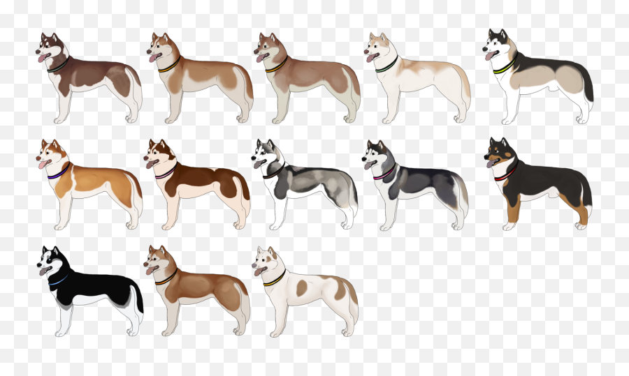 Free Transparent Siberian Husky Png - Bianco Siberian Husky Colori Emoji,Greyhound Emoji