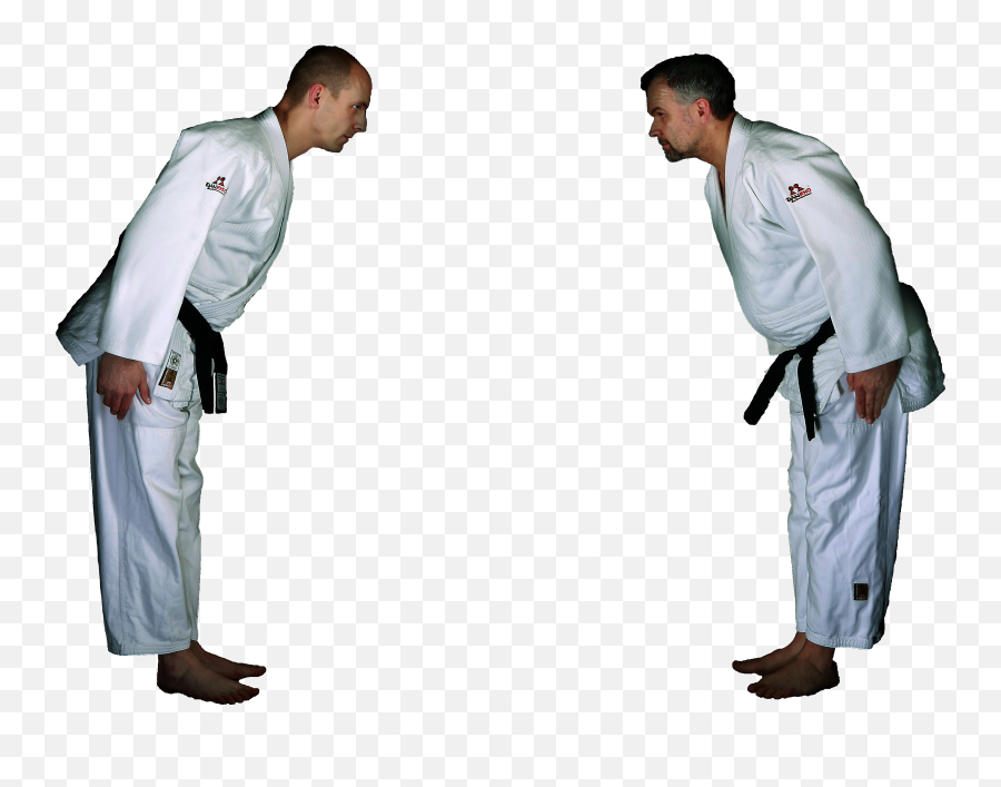 Judo News - Martial Arts Belt Emoji,Emoticons Beweglich Whatsapp