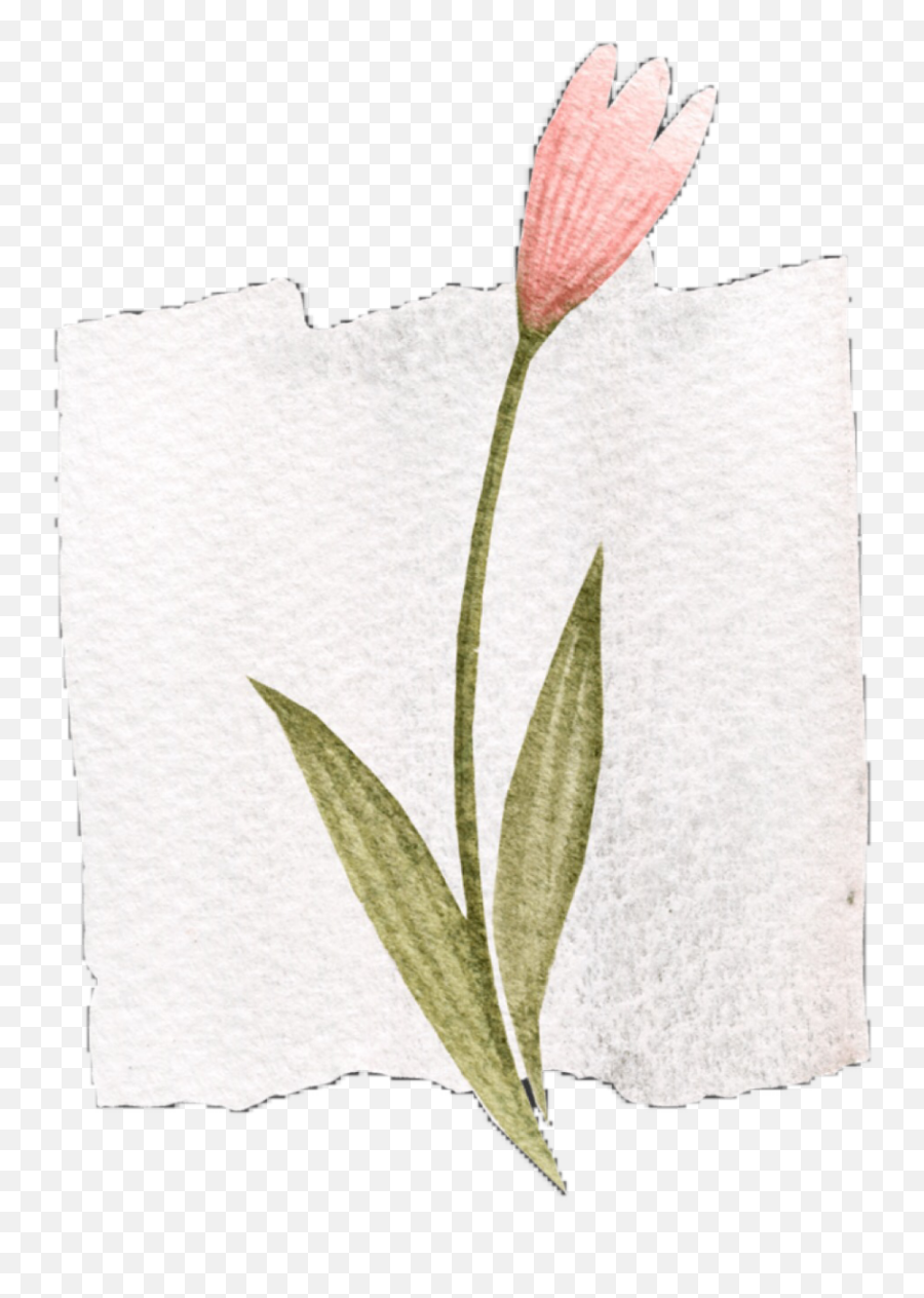 The Most Edited Old - Paper Picsart Tulip Emoji,Eyeshift Emoticon