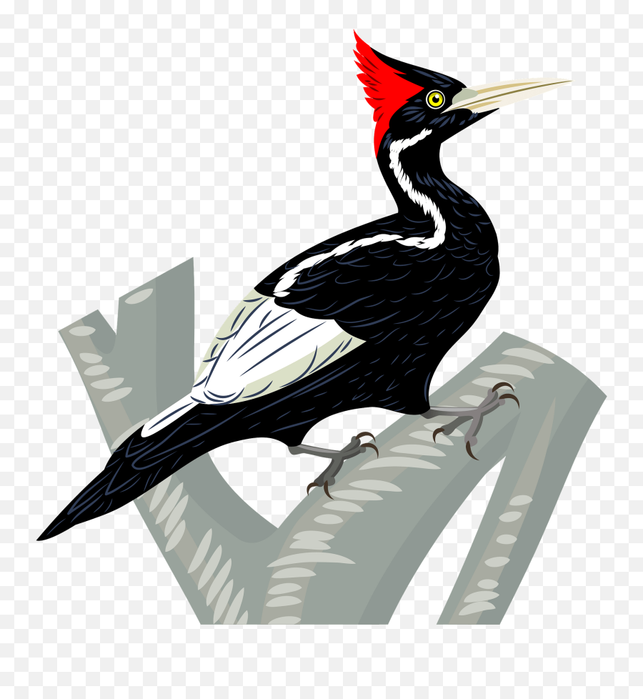 Ivory - Woodpecker Emoji,Purple Bird Emoji