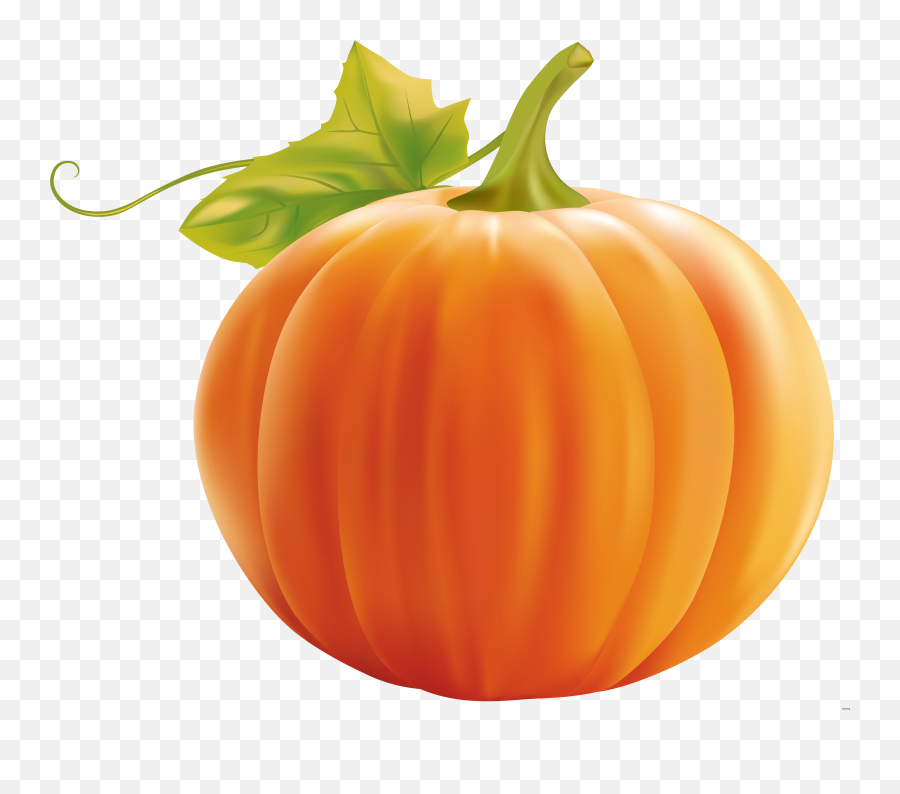Orange Fruit Clipart Transparent Background - Png Download Transparent Background Pumpkin Clip Art Emoji,Pickleball Emoji