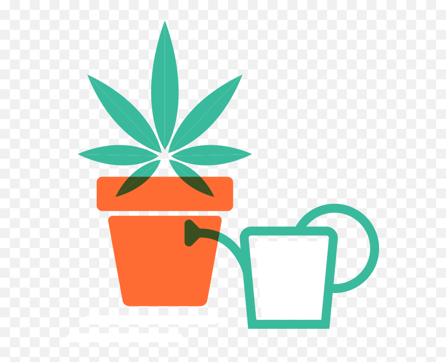 Get Cannabis Clarity - Language Emoji,Marijuana Affects Your Emotions