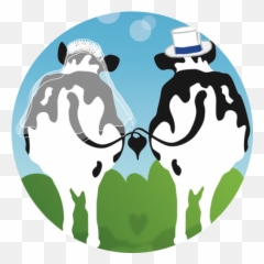 Hiero 2 - Ben Emoji,Groovy Emoji
