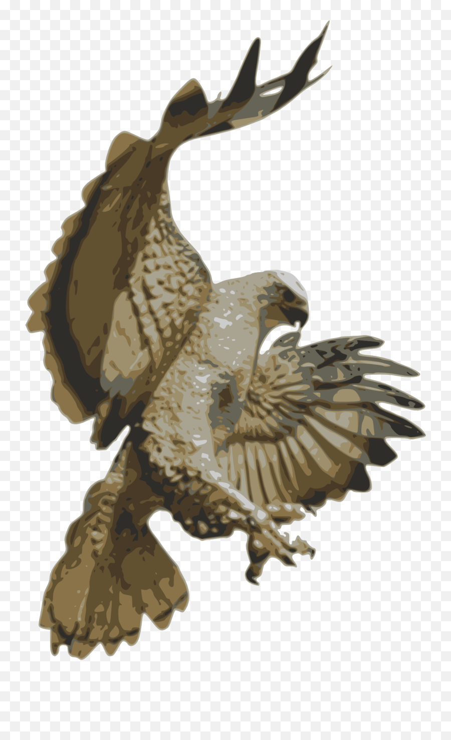 Beautiful Drawing Of The Flying Eagle Free Image Download - Hawk Png Emoji,Emotions Falcon