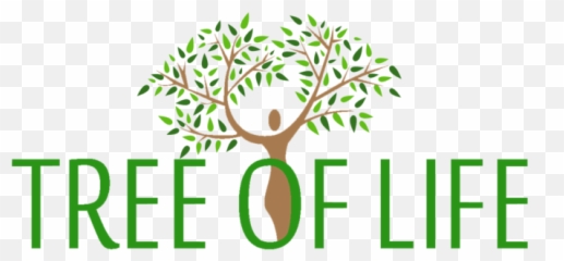 About Us - Treeoflifebeautycom Tree Of Life Niacinamide Serum Emoji,Trees 'express Emotions And Make Friends'...