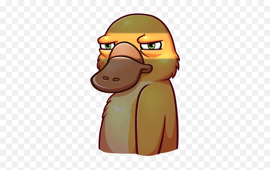 Cooper The Platypus Telegram Stickers Sticker Search - Platypus Telegram Stickers Emoji,Platypus Emoji