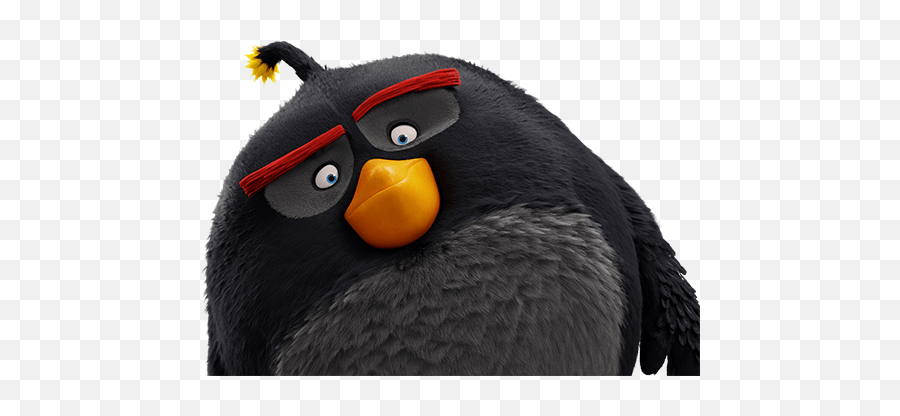 Imágenes De Angry Birds 2016 Personajes - Angry Birds Negro Png Emoji,Angry Birds Gummies With Emojis?!?!