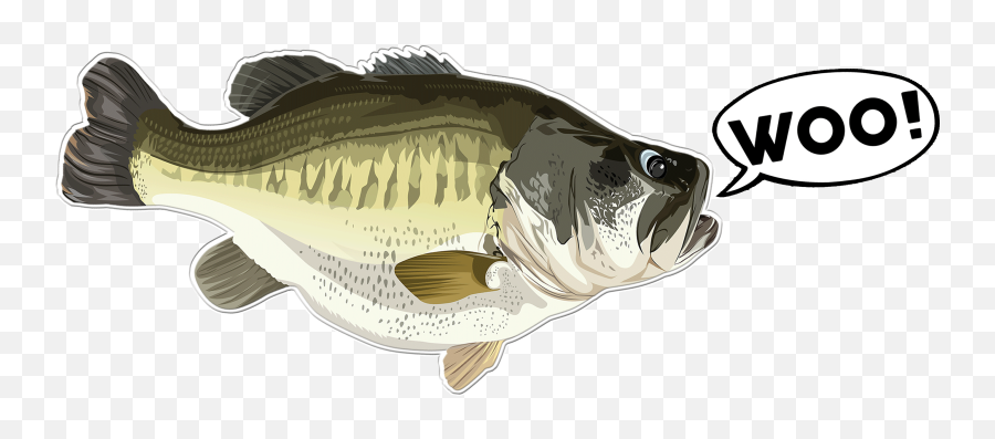 Ric Flair Fish Sticker By Woo Tungsten - Bass Fish Gif Transparent Emoji,Fishing Emoji Gif