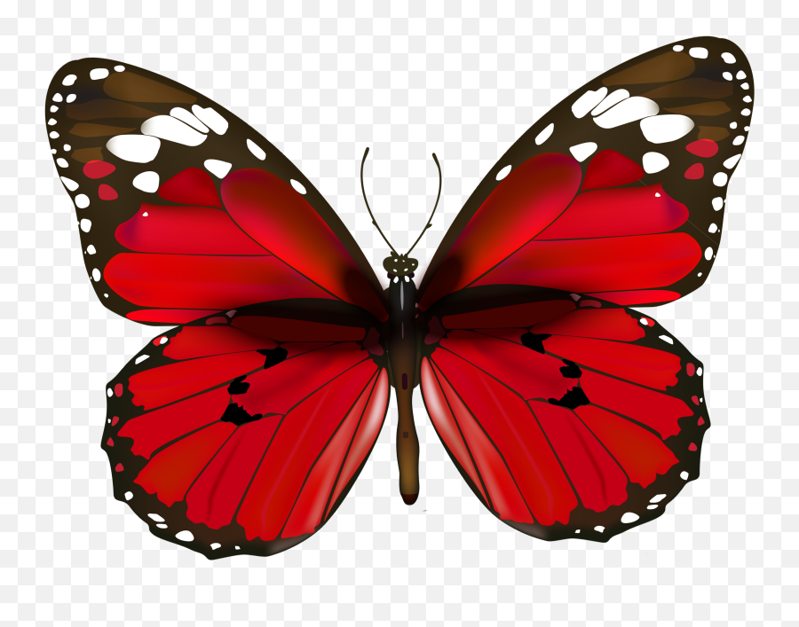 Butterfly Red Clip Art - Red Butterfly Png Clipart Png Red Butterfly Png Emoji,Butterfly Emoji Png