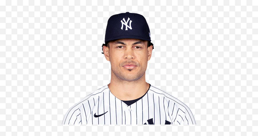 2021 Batting Preseason New York Yankees - Giancarlo Stanton Png Emoji,Austin Brito Emojis